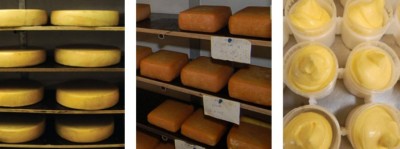 Bents_oekologiske-oste-og-smoer